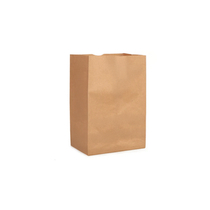 536 Kraft Paper Bag - 9.75
